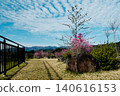 A spacious area rich in nature 140616153