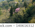 Mountain cherry blossoms blooming on the ridge of the foothills 140616312