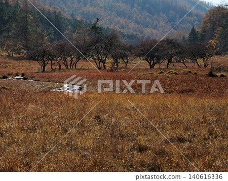 【山景】長野縣 - 入笠岳 - 深秋大原濕地 【山景】長野縣 - 入笠岳 - 深秋大原濕地 140616336