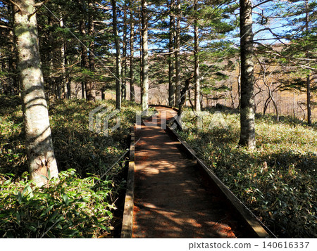 [Mountain Scenery] Nagano Prefecture - Mt. Irikasa - Ohara Marshland in Late Autumn 140616337