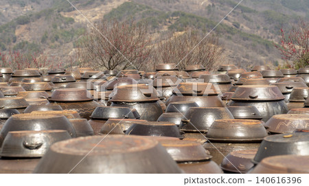 Gwangyang Plum Blossom Village, plum blossom Gwangyang Plum Blossom Village, plum blossom 140616396