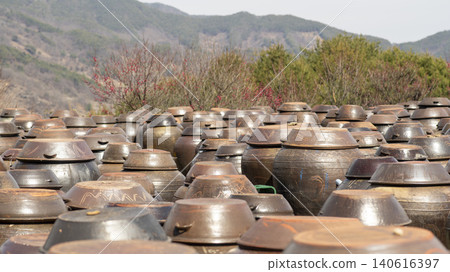 Gwangyang Plum Blossom Village, plum blossom Gwangyang Plum Blossom Village, plum blossom 140616397
