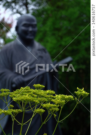 一朵嬌嫩而短暫的花 一朵嬌嫩而短暫的花 140616757