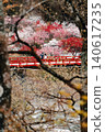 A red bridge over a mountain stream and flowering peach trees 140617235