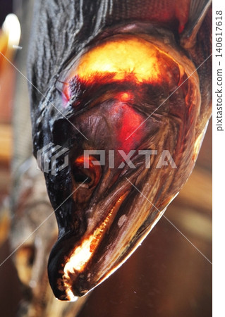 Dried salmon, shining red in the sunlight. 140617618
