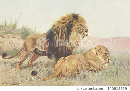 古董插畫:動物百科全書——獅子 古董插畫:動物百科全書——獅子 140618359