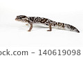 Side view of an African Fat-tailed Gecko (Hemitheconyx caudicinctus) isolated on white background. 140619098
