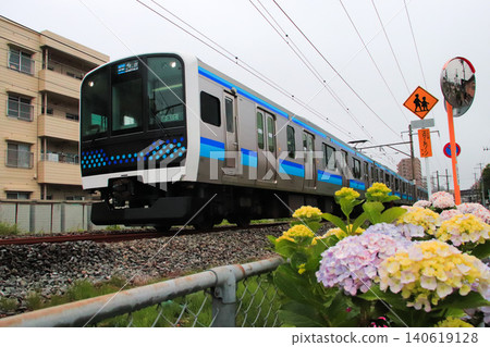 繡球花和 E131 系列 800 系列列車。 繡球花和 E131 系列 800 系列列車。 140619128