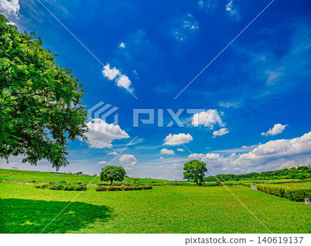 The Edogawa riverbed is covered in blue sky and lush greenery. The Edogawa riverbed is covered in blue sky and lush greenery. 140619137
