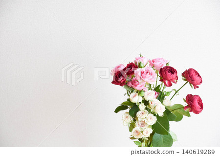 pink and red roses pink and red roses 140619289