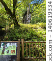 Yakushima Island, Jomon Cedar, World Natural Heritage Site, Kagoshima Prefecture 140619334