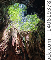 Yakushima Island, Wilson's Cedar, Heart-shaped stump, Kagoshima Prefecture 140619378