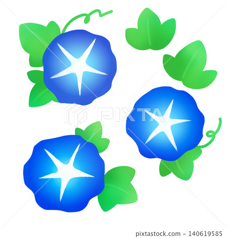 一幅描繪三朵清新藍色牽牛花的插圖。 140619585