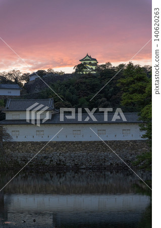 Hikone Castle bathed in the setting sun Hikone Castle bathed in the setting sun 140620263