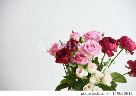 pink and red roses pink and red roses 140620611