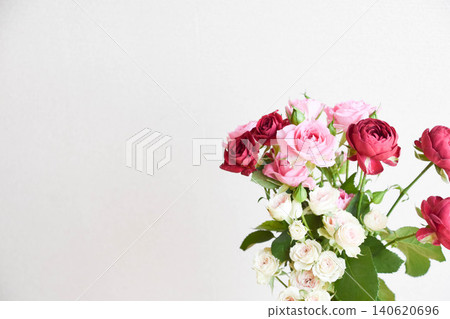 pink and red roses pink and red roses 140620696