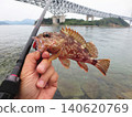 這是我在休息日用擬餌釣魚時釣到的一條岩魚的照片。 140620769
