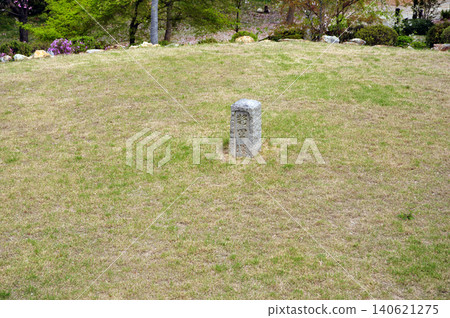 春季將軍山 140621275