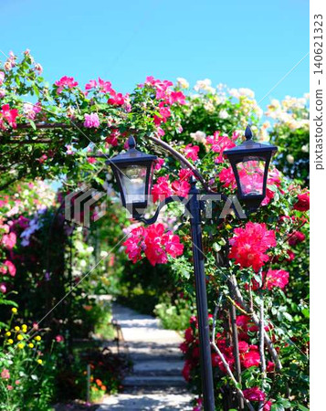 Rose garden Rose garden 140621323