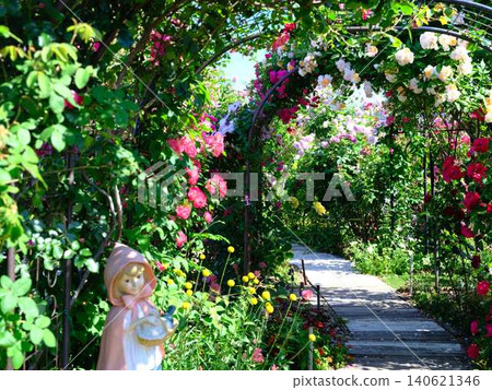 Rose garden Rose garden 140621346