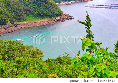 [Kochi Prefecture] Kashiwajima 140621658