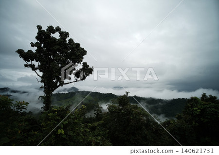 Beautiful silhouette mountains with mist and foggy cloud on valley hill with greenery forest in Thailand Beautiful silhouette mountains with mist and foggy cloud on valley hill with greenery forest in Thailand 140621731
