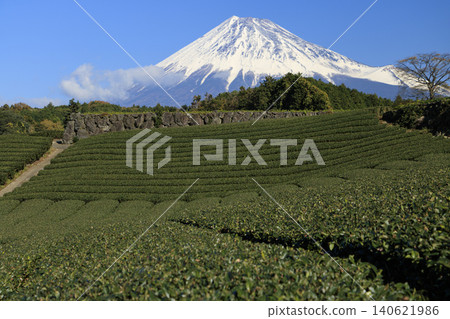 從茶園看到的富士山 140621986