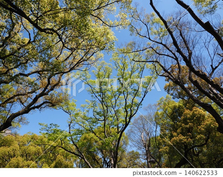 Hibiya Park scenery Hibiya Park scenery 140622533