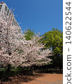 Hibiya Park scenery 140622544
