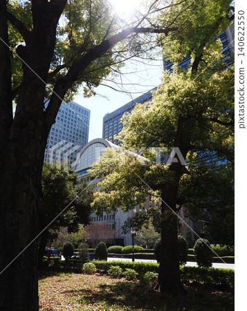 Hibiya Park scenery Hibiya Park scenery 140622550