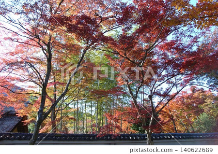 The changing seasons: Moments when you feel autumn deepening 140622689