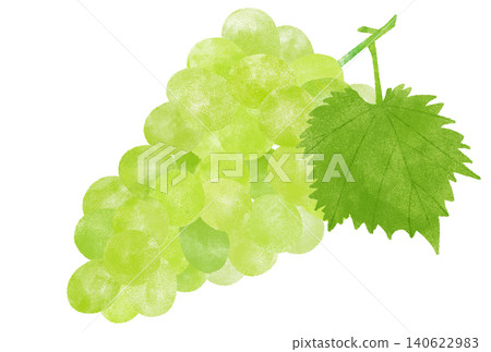 A watercolor illustration of fresh Shine Muscat grapes. A watercolor illustration of fresh Shine Muscat grapes. 140622983