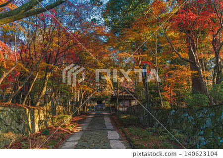 滋賀縣江東市三座寺廟之一的金剛林寺，通往寺廟的道路兩旁秋色宜人。 140623104