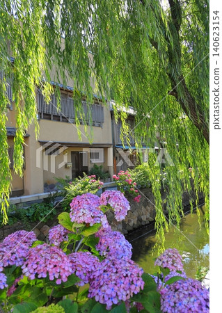Shimoda Perry Road and hydrangea 140623154