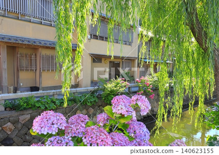 Shimoda Perry Road and hydrangea Shimoda Perry Road and hydrangea 140623155
