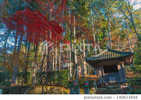 滋賀縣江東市三座寺廟之一的金剛林寺西谷堂的秋景。 140623608