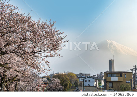 A spring scene of cherry blossom trees along the Kanda River near Fujisan Hongu Sengen Taisha Shrine in Fujinomiya City, Shizuoka Prefecture, and Mount Fuji. A spring scene of cherry blossom trees along the Kanda River near Fujisan Hongu Sengen Taisha Shrine in Fujinomiya City, Shizuoka Prefecture, and Mount Fuji. 140623869