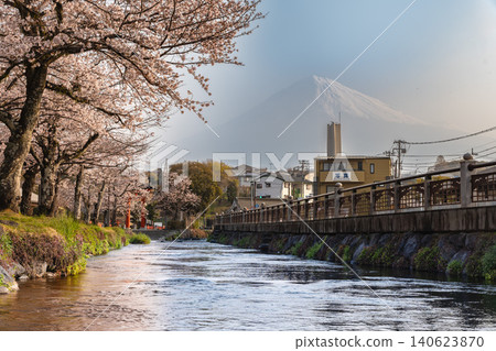 A spring scene of cherry blossom trees along the Kanda River near Fujisan Hongu Sengen Taisha Shrine in Fujinomiya City, Shizuoka Prefecture, and Mount Fuji. A spring scene of cherry blossom trees along the Kanda River near Fujisan Hongu Sengen Taisha Shrine in Fujinomiya City, Shizuoka Prefecture, and Mount Fuji. 140623870
