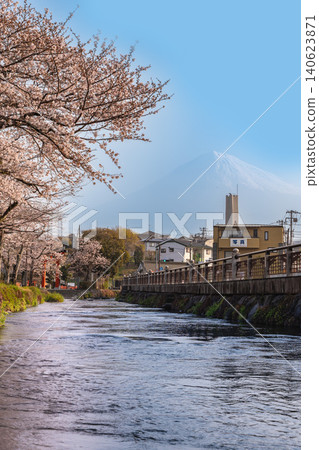 A spring scene of cherry blossom trees along the Kanda River near Fujisan Hongu Sengen Taisha Shrine in Fujinomiya City, Shizuoka Prefecture, and Mount Fuji. A spring scene of cherry blossom trees along the Kanda River near Fujisan Hongu Sengen Taisha Shrine in Fujinomiya City, Shizuoka Prefecture, and Mount Fuji. 140623871