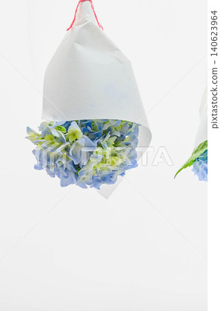 A charm involving hanging hydrangeas A charm involving hanging hydrangeas 140623964
