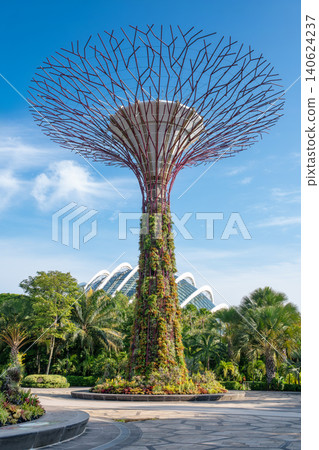 A towering Supertree at Gardens by the Bay, Singapore, covered in lush greenery with its intricate metal structure against a clear blue sky. Vertical composition A towering Supertree at Gardens by the Bay, Singapore, covered in lush greenery with its intricate metal structure against a clear blue sky. Vertical composition 140624237