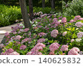Ulsan, Jangsaengpo Hydrangea 140625832