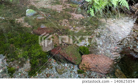 清澈透明的水坑和苔蘚 清澈透明的水坑和苔蘚 140625854