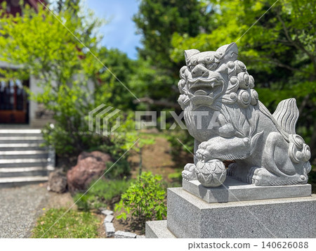 Kamiteine Shrine, guardian lion-dogs, Nishi Ward, Sapporo City, fresh greenery Kamiteine Shrine, guardian lion-dogs, Nishi Ward, Sapporo City, fresh greenery 140626088