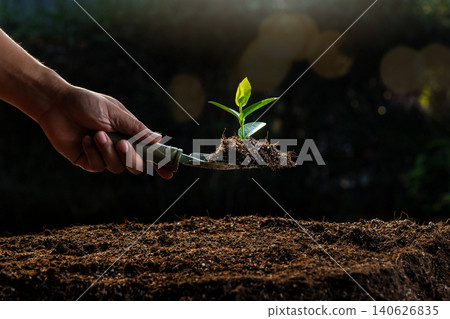 A young seedling plant on a spoon shovel with defocused light bokeh. Earth Day Concept. 140626835