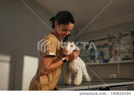 Caring Vet Tech Smiles While Gently Holding Small White Dog at Clinic Exam Table 140628384