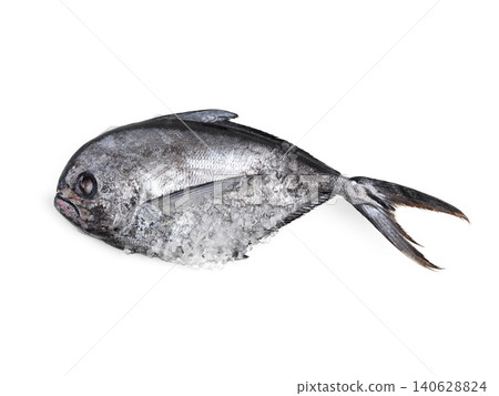 Fresh, fish and food in studio for nutrition with ice, protein and health ingredient for cooking and baking. Top view, produce and healthy meal with vitamins, omega 3 and natural on white background 140628824
