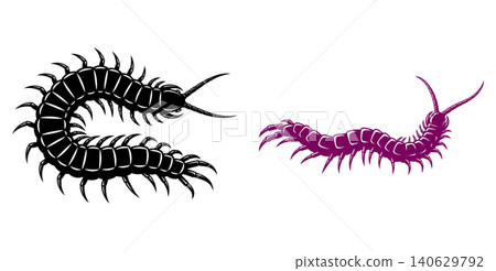 Detailed centipede illustrations with segmented bodies, ideal for entomology or nature themed projects Detailed centipede illustrations with segmented bodies, ideal for entomology or nature themed projects 140629792