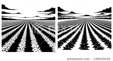 Stylized agricultural fields with rolling clouds and sunbeams in a black and white style Stylized agricultural fields with rolling clouds and sunbeams in a black and white style 140630426