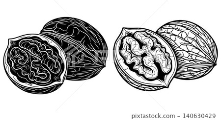 Stylized black and white illustration of two whole and one halved walnut Stylized black and white illustration of two whole and one halved walnut 140630429